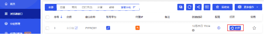 比特浏览器配置示例7